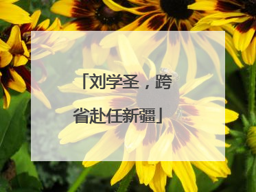 刘学圣，跨省赴任新疆