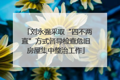 刘永强采取“四不两直”方式督导检查危旧房屋集中整治工作