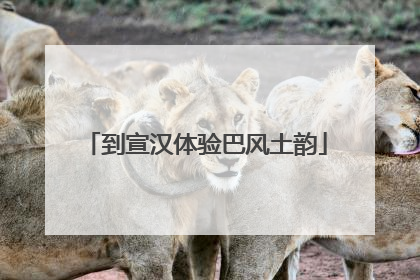 到宣汉体验巴风土韵