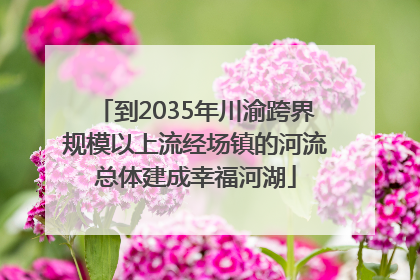 到2035年川渝跨界规模以上流经场镇的河流总体建成幸福河湖