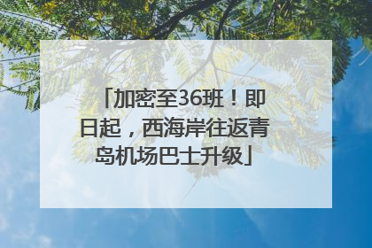 加密至36班！即日起，西海岸往返青岛机场巴士升级