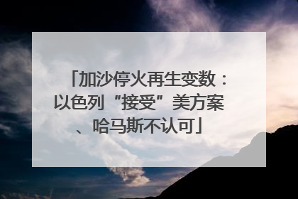 加沙停火再生变数：以色列“接受”美方案、哈马斯不认可