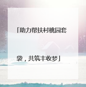 助力帮扶村桃园套袋，共筑丰收梦