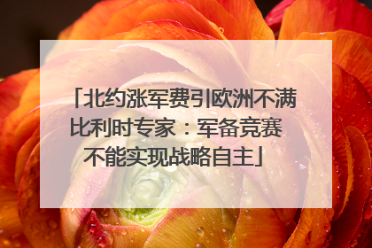 北约涨军费引欧洲不满 比利时专家：军备竞赛不能实现战略自主