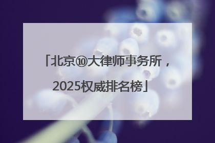 北京⑩大律师事务所，2025权威排名榜