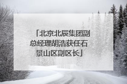 北京北辰集团副总经理胡浩获任石景山区副区长