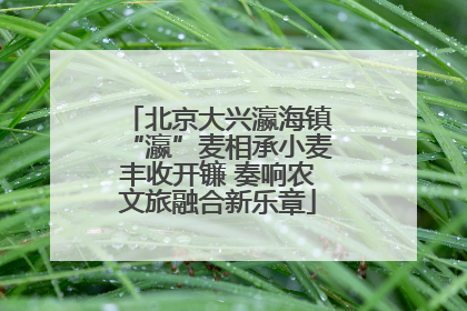 北京大兴瀛海镇“瀛”麦相承小麦丰收开镰 奏响农文旅融合新乐章