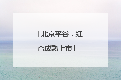 北京平谷：红杏成熟上市