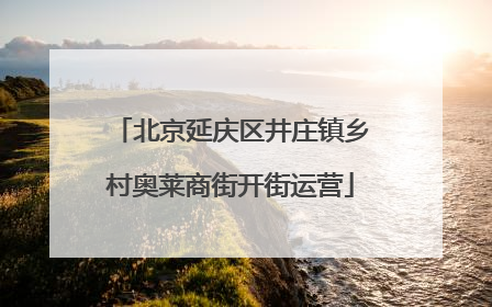北京延庆区井庄镇乡村奥莱商街开街运营
