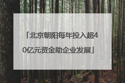 北京朝阳每年投入超40亿元资金助企业发展