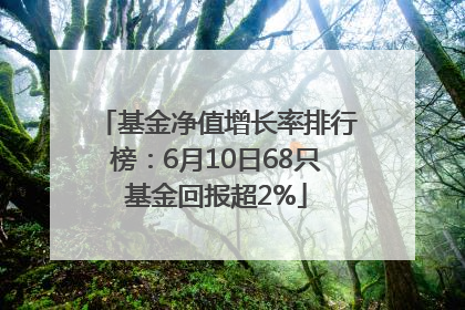 基金净值增长率排行榜：6月10日68只基金回报超2%