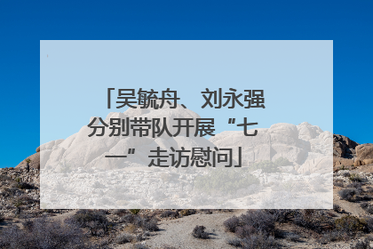 吴毓舟、刘永强分别带队开展“七一”走访慰问