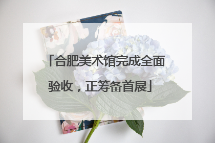 合肥美术馆完成全面验收，正筹备首展