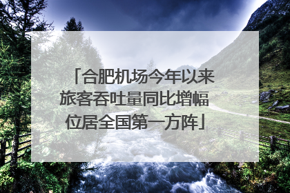 合肥机场今年以来旅客吞吐量同比增幅位居全国第一方阵