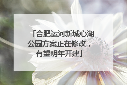 合肥运河新城心湖公园方案正在修改，有望明年开建