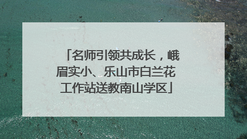 名师引领共成长，峨眉实小、乐山市白兰花工作站送教南山学区