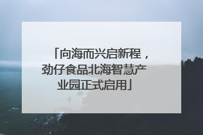 向海而兴启新程，劲仔食品北海智慧产业园正式启用