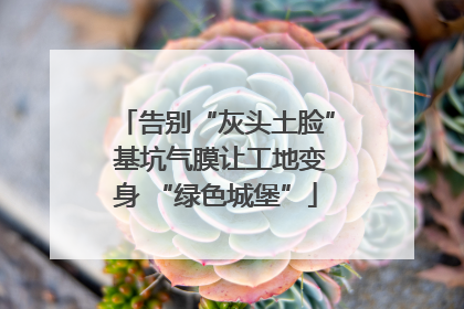 告别“灰头土脸” 基坑气膜让工地变身 “绿色城堡”