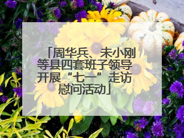 周华兵、未小刚等县四套班子领导开展“七一”走访慰问活动