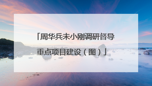 周华兵未小刚调研督导重点项目建设（图）