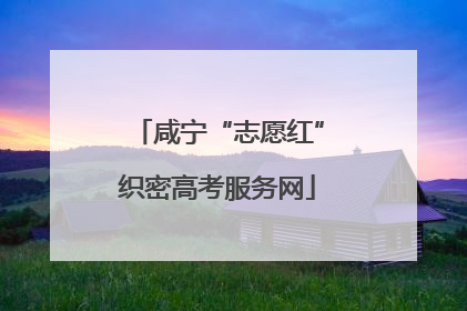 咸宁“志愿红”织密高考服务网