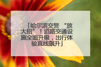 哈尔滨交警 “放大招”！道路交通设施全面升级，出行体验直线飙升