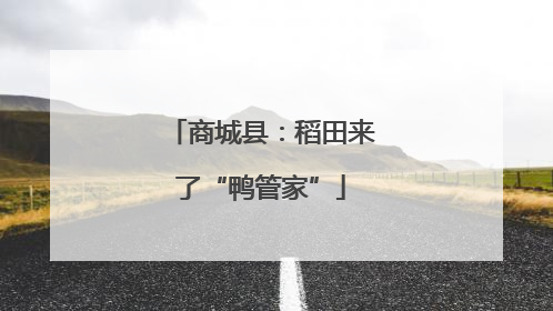 商城县：稻田来了“鸭管家”