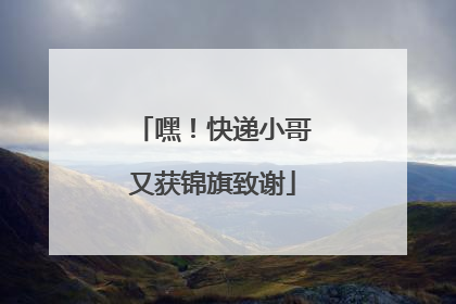 嘿！快递小哥又获锦旗致谢
