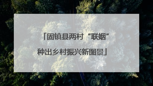 固镇县两村“联姻”种出乡村振兴新图景