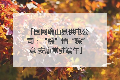 国网确山县供电公司：“粽”情“粽”意 安康常驻端午
