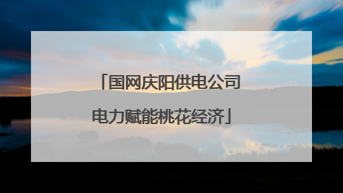 国网庆阳供电公司电力赋能桃花经济