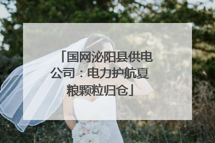 国网泌阳县供电公司：电力护航夏粮颗粒归仓