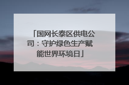 国网长泰区供电公司：守护绿色生产赋能世界环境日
