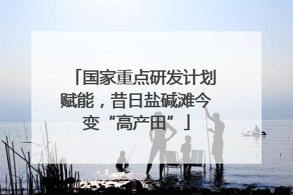 国家重点研发计划赋能，昔日盐碱滩今变“高产田”