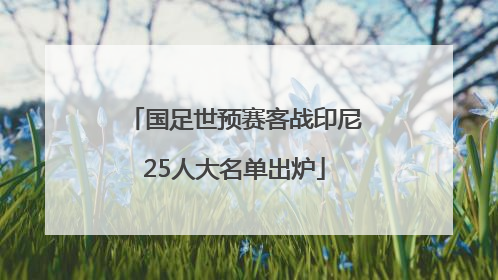 国足世预赛客战印尼25人大名单出炉