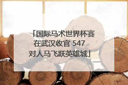 国际马术世界杯赛在武汉收官 547对人马飞跃英雄城