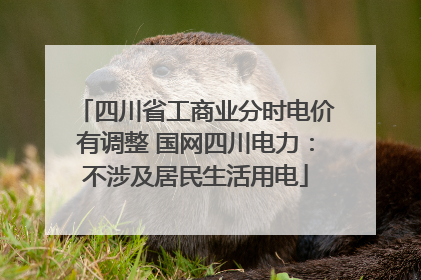 四川省工商业分时电价有调整 国网四川电力：不涉及居民生活用电
