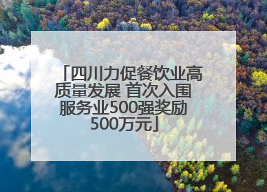 四川力促餐饮业高质量发展 首次入围服务业500强奖励500万元