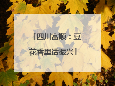 四川富顺：豆花香里话振兴