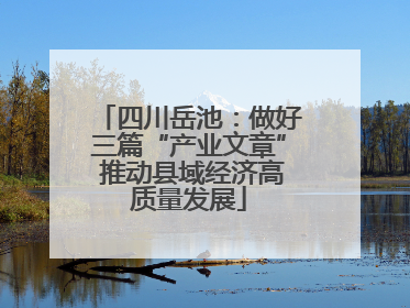 四川岳池：做好三篇“产业文章” 推动县域经济高质量发展