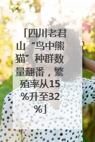 四川老君山“鸟中熊猫”种群数量翻番，繁殖率从15%升至32%