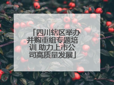 四川辖区举办并购重组专题培训 助力上市公司高质量发展