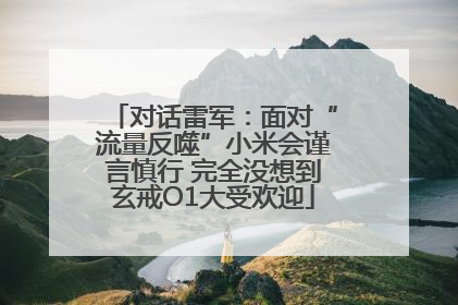 对话雷军：面对“流量反噬”小米会谨言慎行 完全没想到玄戒O1大受欢迎
