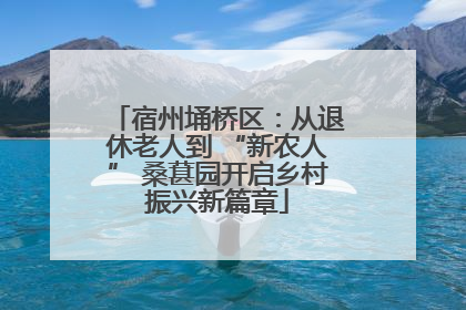 宿州埇桥区：从退休老人到 “新农人” 桑葚园开启乡村振兴新篇章