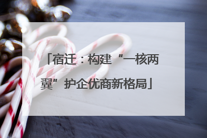 宿迁：构建“一核两翼”护企优商新格局