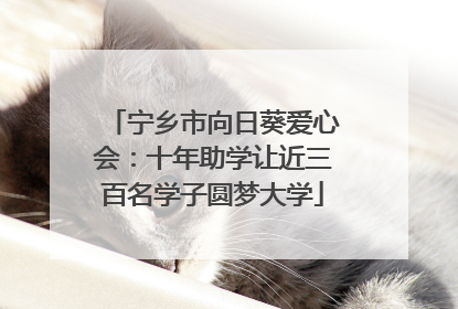 宁乡市向日葵爱心会：十年助学让近三百名学子圆梦大学