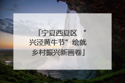 宁夏西夏区 “兴泾黄牛节”绘就乡村振兴新画卷