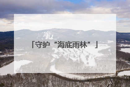 守护“海底雨林”