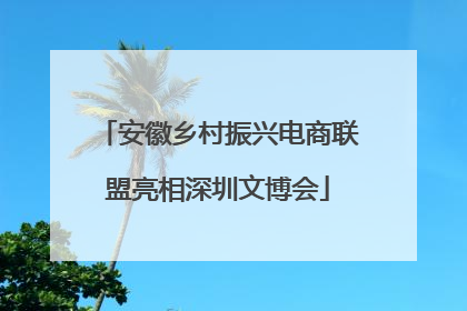 安徽乡村振兴电商联盟亮相深圳文博会