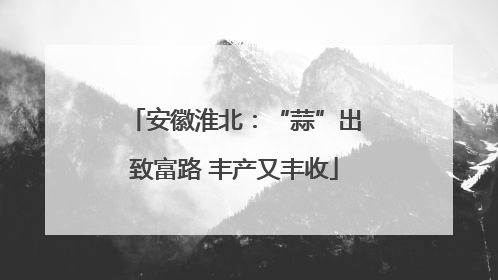 安徽淮北：“蒜”出致富路 丰产又丰收